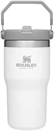 Stanley IceFlow Stainless Steel Tumbler with Straw - Vacuum Insulated Water Bottle for Home, Office or Car - Reusable Cup with Straw Leak Resistant Flip - Cold for 12 Hours or Iced for 2 Days (Polar)