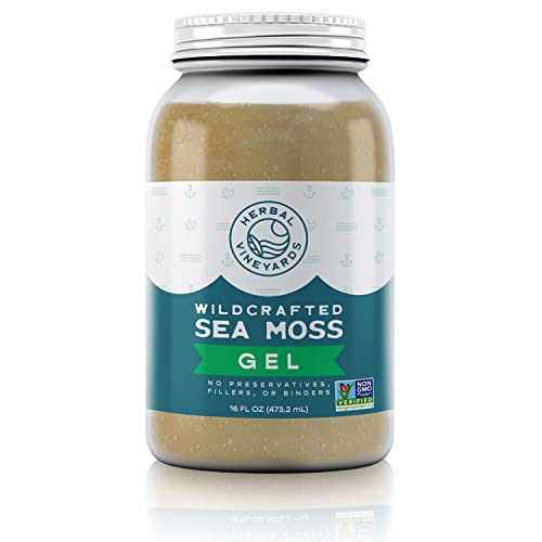 Herbal Vineyards Natural Organic Wildcrafted Gold Raw Sea Moss Gel for Immune Support, Healthy Digestion, and More | 16oz Package | Non-GMO Project Verified