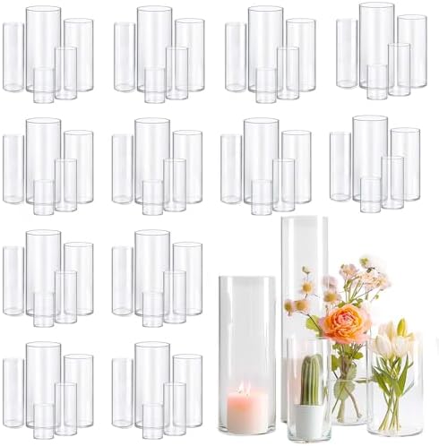 60pcs Glass Vase Cylinder Vases for Centerpieces Small Flower Glass Clear Vases Home Decor Centerpiece Table Flower Vase Decorations for Wedding Decoration&Holiday Mixed Sizes Tall