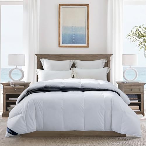Globon Ultra-Soft Lightweight Down Feather Comforter King Size,Breathable Light Duvet Insert for Hot Sleeper/Warm Weather,Noiseless Shell,700 Fill Power with Corner Tabs,White