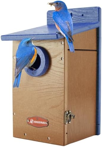 Kingsyard Recycled Plastic Bird House for Outdoor - Durable Nesting Box with Clear View Panel & Predator Guard for Bluebird Wren Swallow Finch, Blue & Brown