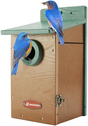 Kingsyard Recycled Plastic Bird House for Outdoor - Durable Nesting Box with Clear View Panel & Predator Guard for Bluebird Wren Swallow Finch, Green & Brown