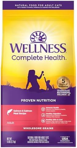 Wellness Complete Health Adult Dry Cat Food for Indoor and Outdoor Cats, Wholesome Grains, Natural, Salmon & Salmon Meal (5 Pound Bag)