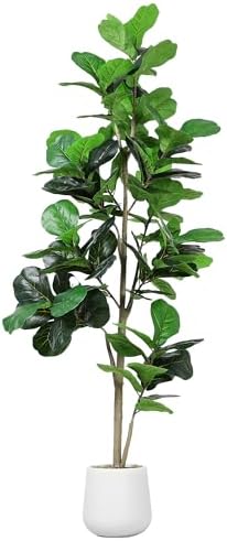 Artificial Fiddle Leaf Tree, 7ft Faux Plant Fake Ficus Lyrata Trees with White Planter, Artificial Fig Trees Floor Plants for House Office Living Room Indoor Home Decor, Housewarming Gift