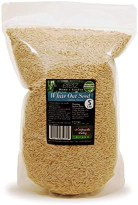 White Oat Seed Choose Size! Oregon Grown Oat Grains- No Fillers, No Coatings, No Weed Seeds (5lb)