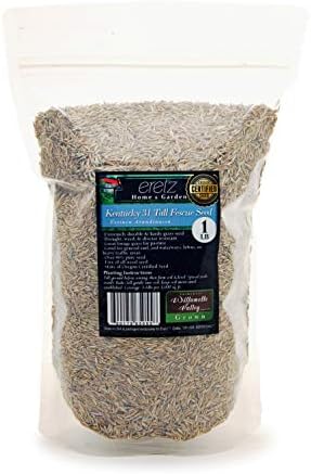 Kentucky 31 K31 Tall Fescue Grass Seed by Eretz - Choose Size! State Certified, No fillers, No Weed or Other Crop Seeds (1lb)