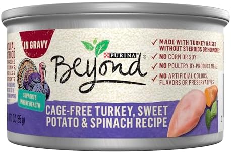 Purina Beyond Cage-Free Turkey, Sweet Potato and Spinach Recipe In Wet Cat Food Gravy - (Pack of 12) 3 oz. Cans