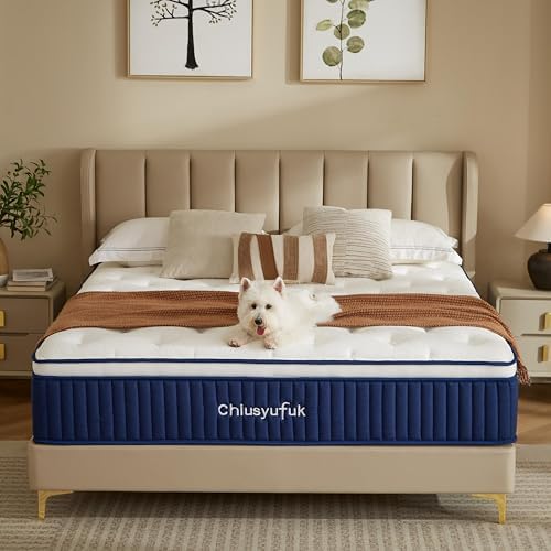 Twin Mattress,10 inch Twin Size Mattress,Hybrid mattresses,Single,Gel Memory Foam Individually Wrapped Pocket Coils Innerspring Pressure Relief,Soft,CertiPUR-US Certified,Fiberglass-Free,