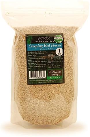 Creeping Red Fescue Seed by Eretz (1lb) - Choose Size! Willamette Valley Oregon Grown, No Fillers, No Weed or Other Crop Seeds, Premium Shade Grass Seed.