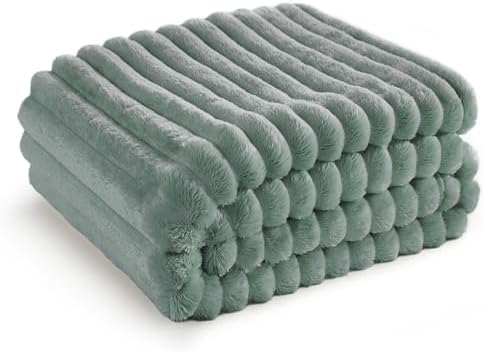 Bedsure Twin Blanket for Couch - GentleSoft Cozy Soft Blankets for Women, Cute Small Fleece Throws for Girls, Sage Green, 60x80 Inches