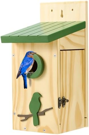 Kingsyard Blue Bird House for Outdoors - Classic Cedar Wooden Bluebird House Durable Wall-Mounted Birdhouse with Predator Guard for Bluebirds Titmice Chickadees Nesting Birds, Green