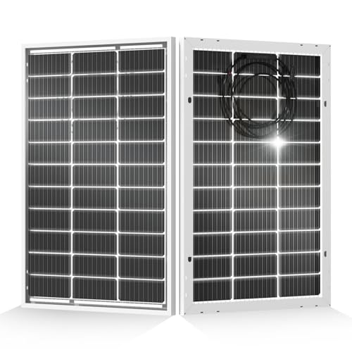 ECO-WORTHY 200 Watt Bifacial Solar Panel 2pcs 100 Watt Monocrystalline Solar Panel Module Off Grid PV Power for Home, Camping, Boat, Shed Farm, RV,12V/24V Battery