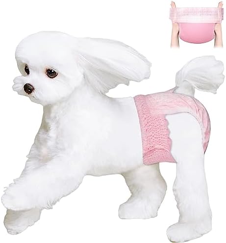 Ambreview Disposable Dog Diapers Female, Just Pull It Up, Doggie Diapers for Female Dogs, Strong Absorbency | Leak Proof, for Dogs in Heat | Elderly | Disabled, XS 10 PCS
