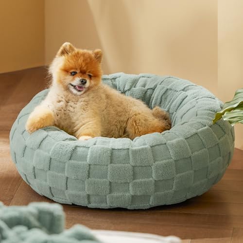 Bedsure Dog Bed for Small Dogs - Donut Pet Bed for Puppy Kitten with Anti Slip Bottom, Round Sherpa Dog Beds with Washable Removable Cover, Garden Green, 23x23x8 inches