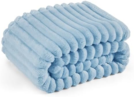 Bedsure Blue Fleece Blanket for Couch - GentleSoft Cozy Soft Blankets for Women, Cute Small Throws for Girls, Light Blue, 60x80 Inches
