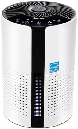 Kenmore PM1010 Air Purifiers for Bedroom Up to 850 Sq.Foot with H13 True HEPA Filter, Child Lock, Sleep Mode for Small Rooms
