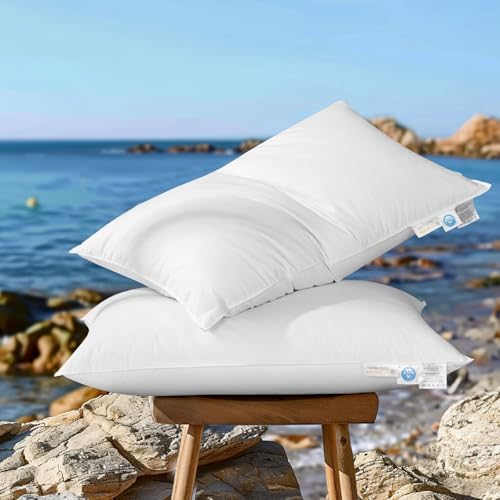 Canadian Luxury Goose Down Pillow Queen Size - 900 Fill Power, 100% Cotton with Teflon Shell- Ultra Comfort Sleep Pillows - Bed Pillows for Back, Stomach, Side Sleeper(White,Queen(Pack of 2))