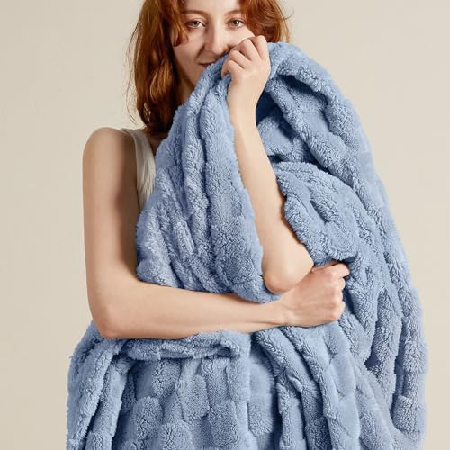 Bedsure Ashley Blue Fleece Blanket for Couch - Super Soft Cozy Twin Blankets for Women, Cute Small Throws for Girls, 60x80 Inches