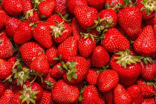 (Best) Jewel Strawberry Plants - Bare Root Plants to Grow Strawberries - Ready to Ship - No Ship to California (20 Strawberry Plants)