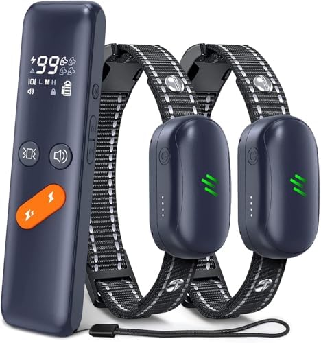 Delupet Electric Dog Training Collar - 2 Dog E-Collar, Waterproof, 4 Training Modes, Rechargeable, All Breeds & Sizes