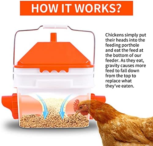 GUEOQTC-10 Pounds Chicken Feeder with 4 Ports, Rainproof Poultry Feeder for Up to 10 Adult Chickens or 15 Chicks(Patented Products)