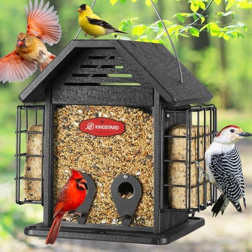 Kingsyard Bird Feeder for Outdoor Hanging, Recycled Plastic 3 in 1 Mixed Seeds Suet Feeder, Double Suet Cages Mesh Sunflower Bird Feeder, 3 LBS Large Capacity for Finch Cardinal Chickadee, Black