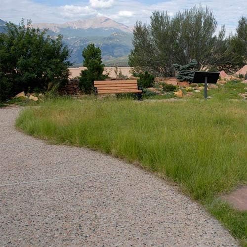 Outsidepride Perennial Short Native Grass Seed Mix - 1 lb. Premium Mix of Blue Grama, Buffalo, Sideoats Grama, & Sheep’s Fescue Grass Seeds for Low-Maintenance, Heat & Drought-Tolerant Landscaping