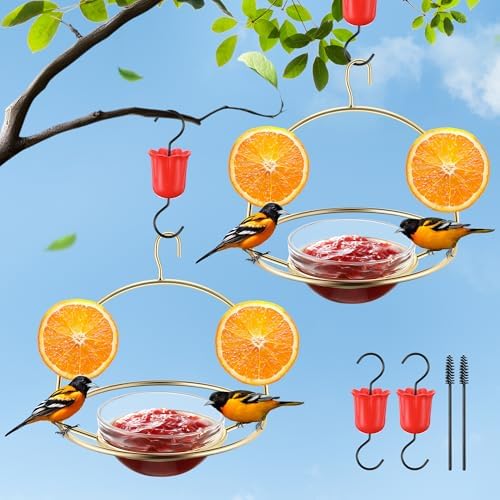 2 Pack Metal Oriole Feeders for Outdoors Hanging with Ant Moat and Fruit Holder, Oriole Feeder with Glass Bowl, Easy to Disassemble and Wash, Orange Fruit Jelly Bird Feeder for Garden, Outdoor, Gift