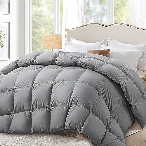 Globon Down Comforter Queen Size,All Season Duvet Insert Ultra-Soft Noiseless Shell,Mediumweight with 8 Corner Tabs, Greyβ¦