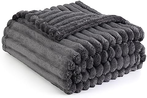 Bedsure Grey Fleece Twin Blanket for Couch - GentleSoft Cozy Soft Blankets for Women, Cute Small Throws for Girls, 60x80 Inches