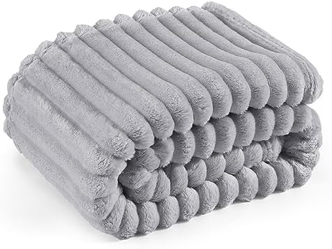 Bedsure Twin Blanket for Couch - GentleSoft Cozy Soft Blankets for Women, Cute Small Fleece Throws for Girls, Light Grey, 60x80 Inches