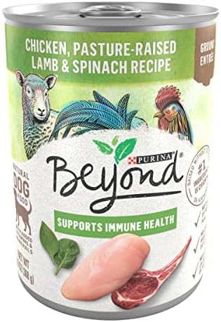 Purina Beyond Chicken, Lamb and Spinach Ground Natural Grain Free Wet Dog Food with Added Vitamins and Minerals - (Pack of 12) 13 oz. Cans