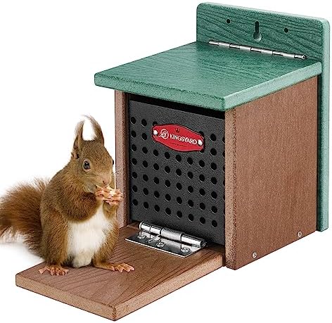 Kingsyard Squirrel Feeder Box for Outside, Recycled Plastic Squirrel Feeder with Removable Metal Front Panel & Perch, Easy to Fill & Clean, Weather-Proof Roof (Green)