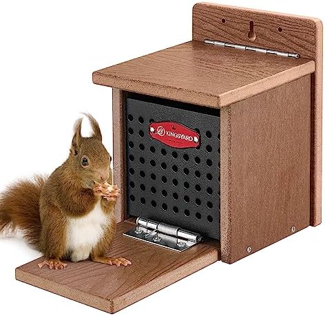 Kingsyard Squirrel Feeder Box for Outside, Recycled Plastic Squirrel Feeder with Removable Metal Front Panel & Perch, Easy to Fill & Clean, Weather-Proof Roof (Brown)