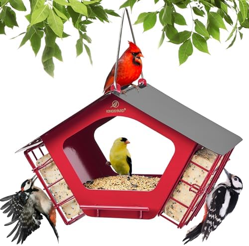 Kingsyard Metal Bird Feeders for Outdoor Hanging, 2 in 1 Mixed Seeds Feeder with Double Suet Cages,Weatherproof Metal Roof & Perch, Great for Finch Cardinal Chickadee, Easy to Clean & Refill, Red