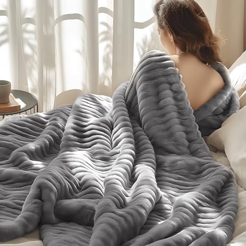 Bedsure Frost Gray Fleece Blanket for Couch - GentleSoft Cozy Soft Blankets for Women, Cute Small Throws for Girls, 50x70 Inches
