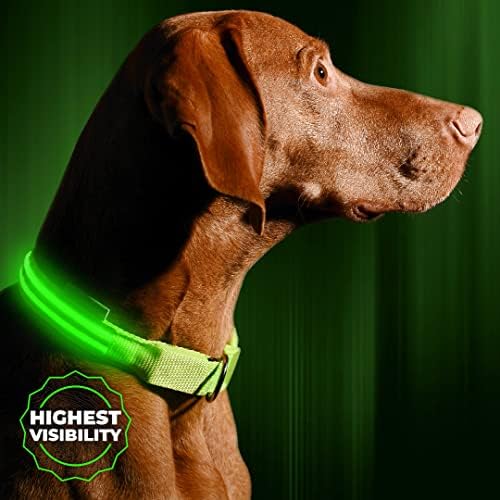 Illumiseen LED Dog Collar USB Rechargeable - Bright & High Visibility Lighted Glow Collar for Pet Night Walking - Weatherproof, in 6 Colors & 6 Sizes (Green XX-Small)
