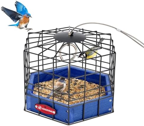 Kingsyard Squirrel Proof Platform Bird Feeder for Outdoor Hanging, Caged Bird Feeder for Bluebird, Recycled Plastic Feeding Platform with Metal Mesh Tray, Special for Small Birds, Blue