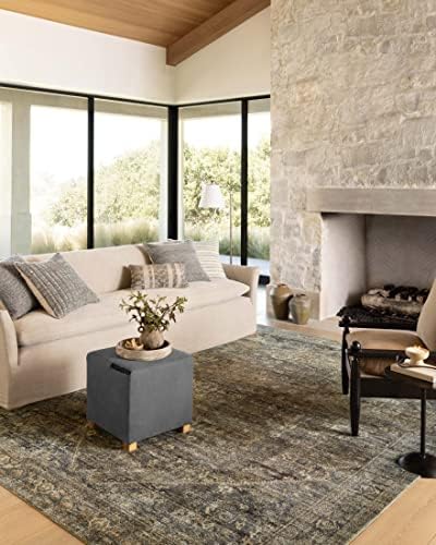 Loloi Amber Lewis Morgan 7'-3" x 9'-3" Area Rug in Spice/Lagoon - Large Area Rug, Neutral Area Rug for Room Décor, Vintage Rug Inspired, Soft Area Rug for Living Room, Bedroom, Dining Area