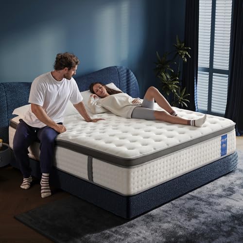 Queen Mattress,14 Inch Size Mattresses in a Box,Memory Foam Hybrid Mattress, Individual Pocket Spring for Motion Isolation &Zoned Support & Pressure Relief,Medium Firm (Queen, 14, Inches)