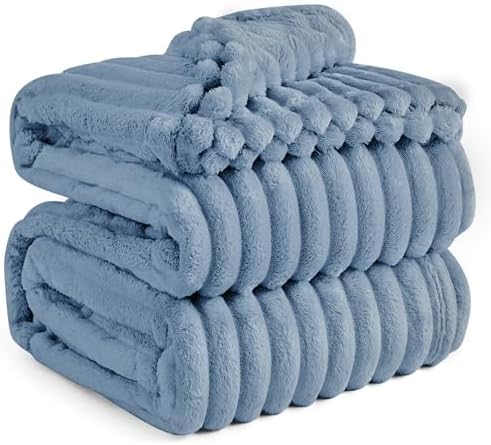 Bedsure Queen Blanket for Bed - GentleSoft Cozy Soft Blankets for Women, Cute Large Fall Throws for Girls, Ashley Blue, 90x90 Inches