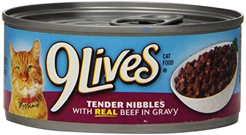 9Lives Tender Morsels With Real Beef In Sauce Wet Cat Food, 5.5 Ounce Can (Pack of 24)