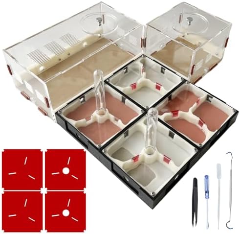 Ant Farm Nest Science DIY Terrarium Kit Care for Live Ants Ant Habitat with Water Tower Nurturing Room and Comprehensive Observation