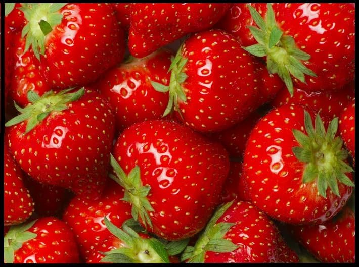 (Best) Seascape Strawberry Plants - Bare Root Plants to Grow Strawberries - Ready to Ship - No Ship to California (10 Strawberry Plants)