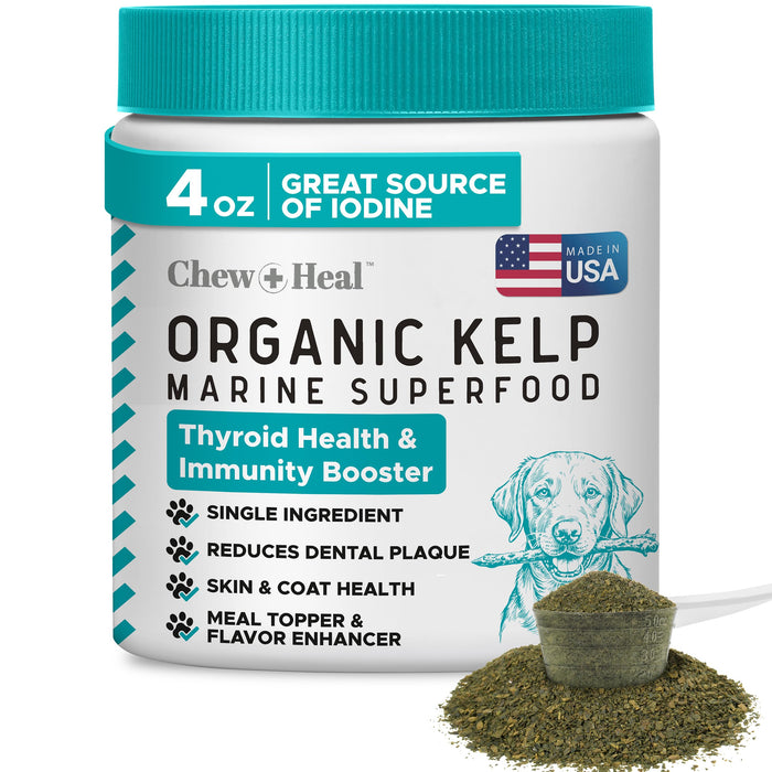Kelp Supplement for Dogs – Natural Seaweed Powder for Thyroid Function, Dental Health, Immune Support, Skin & Coat – Iodine-Rich 4 oz Meal Topper with 5cc Spoon – Made in USA