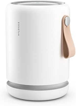 Molekule Air Purifier Mini+ - Purifies Rooms Up to 250 Sq Ft - Smart Purifier with High Pollutant Capture Rate - Air Quality Monitoring Capabilities - White