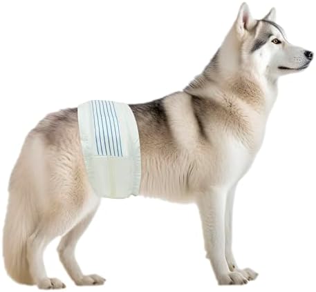 BV Dog Diapers Male Large (Waist 21-26in) Super Absorbent - 50 Count Male Dog Diapers Disposable - Doggie Diapers with Wetness Indicator - Adjustable Male Dog Wraps - Ideal for Incontinence/Training