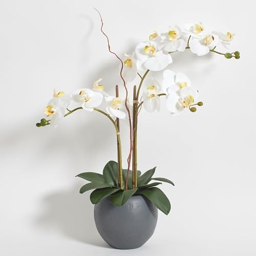 CG Hunter Faux White Orchid Plant, Premium Artificial Indoor Flower Display Stands 25-Inches with Beautiful Sculptural Blooms and Foliage That Lasts Forever, Grey Planter Pot Included