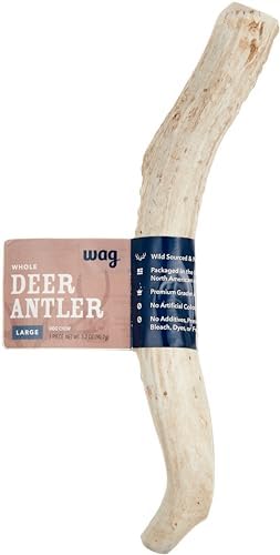 Amazon Brand - Wag Dog Deer Antler Chew, Naturally Shed, Whole, Large 8-9.5 inches (Best for Dogs 30-45 lbs), 3.20 Ounce (Pack of 1)