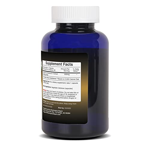 Nootropics Depot Lions Mane Mushroom Capsules | 8:1 Whole Fruiting Body Dual Extract | 500mg | 60 Count | Hericium erinaceus